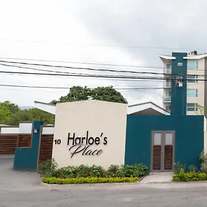 Apartment Harloe'S @ Kingstongo876, Kingston